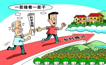 乡村振兴2024年工作总结模板5篇