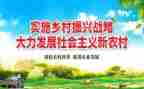 市乡村振兴工作总结模板5篇