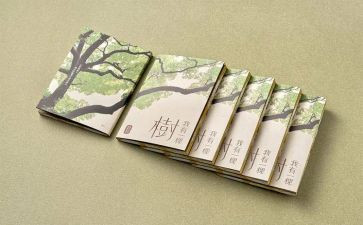 哲学与的心得体会8篇