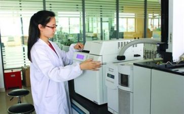 质量工作自我鉴定8篇