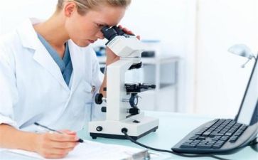 年终质量工作总结个人总结模板7篇