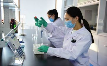 安全质量月工作总结6篇