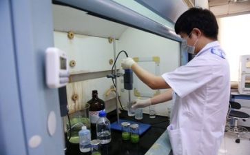 2024质量部工作总结通用6篇