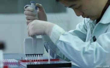 质量师年度工作总结优质6篇
