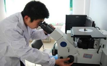 2023质量股工作计划8篇