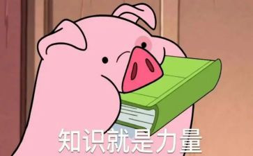 知识培训总结精选8篇