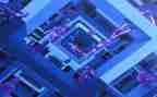 2024年年终秩序工作总结优质8篇