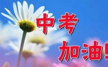 中考优秀作文800字6篇