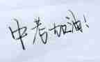 中考优秀作文参考8篇