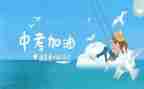 区中考工作总结推荐5篇