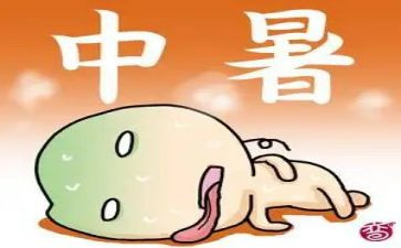 初中暑假调查报告5篇