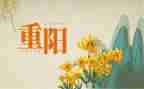 重阳感恩活动方案8篇
