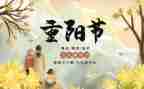 九九重阳节活动方案参考8篇