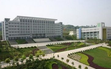中专学生心得体会5篇