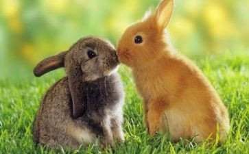 走进初一的作文8篇