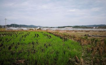 房屋出租赁合同精选6篇