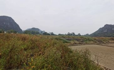 租赁仓库合同5篇
